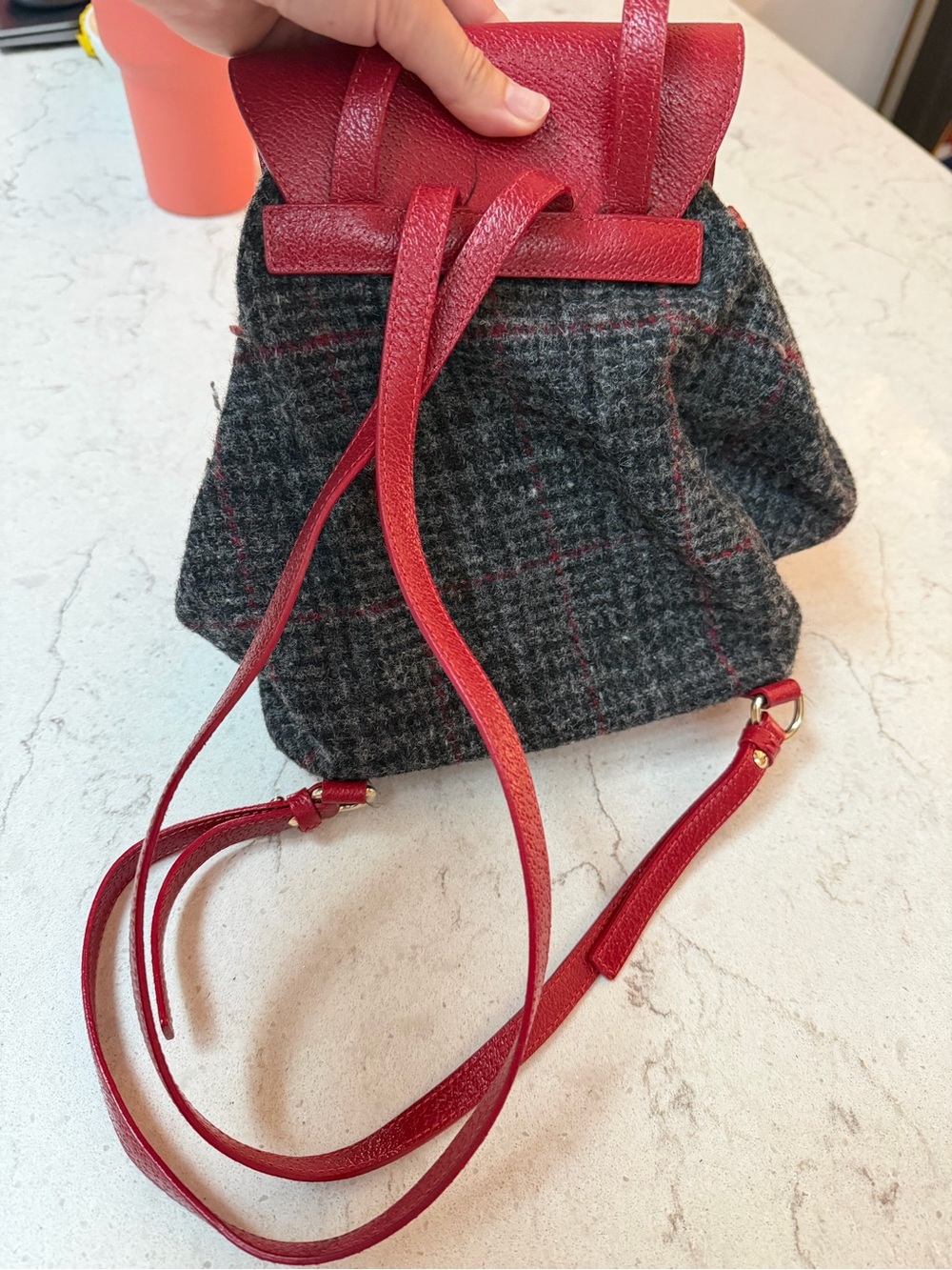 Frances Valentine Backpack View 4